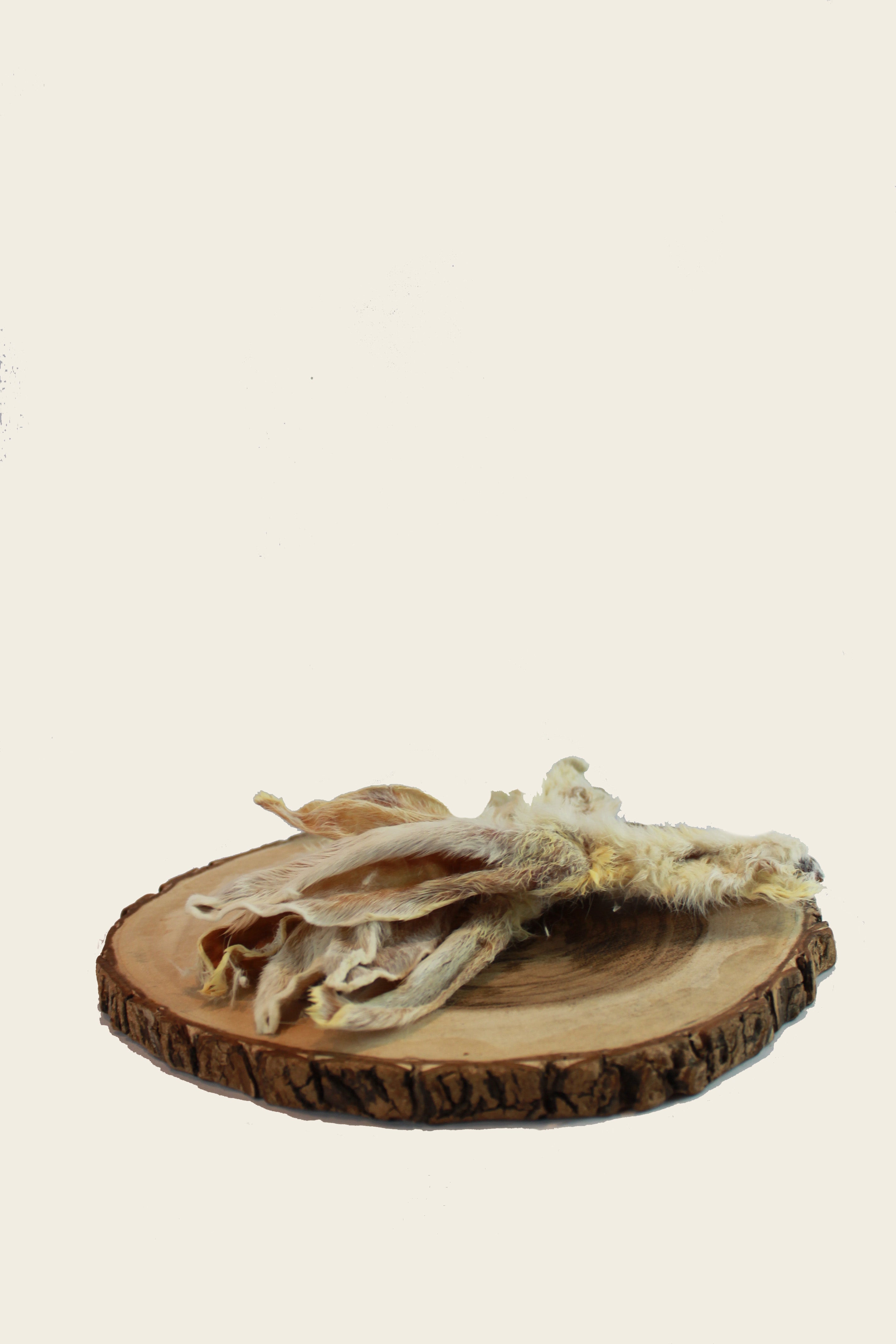 Kaninchenohren mit Fell