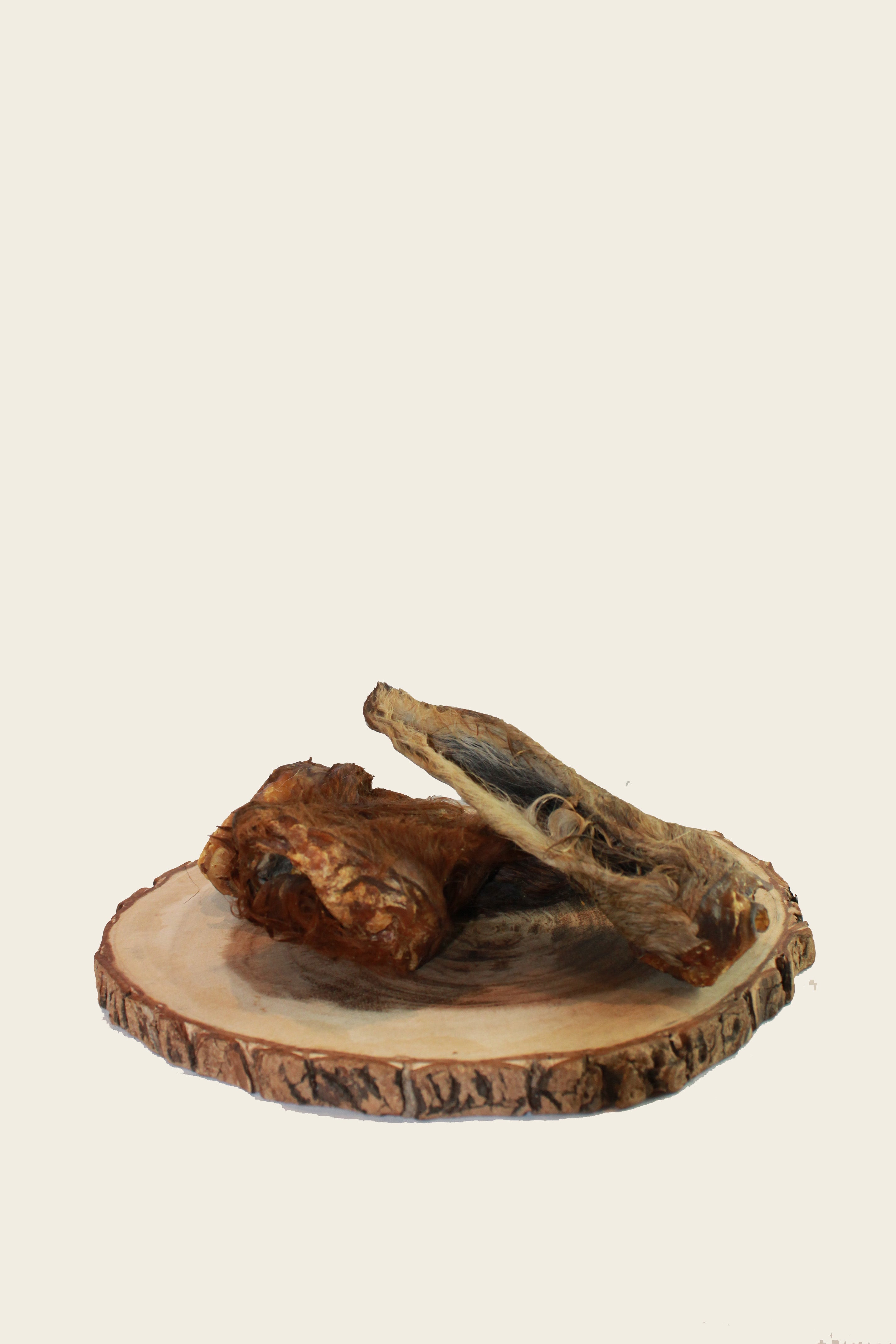 Pferdeohren mit Fell